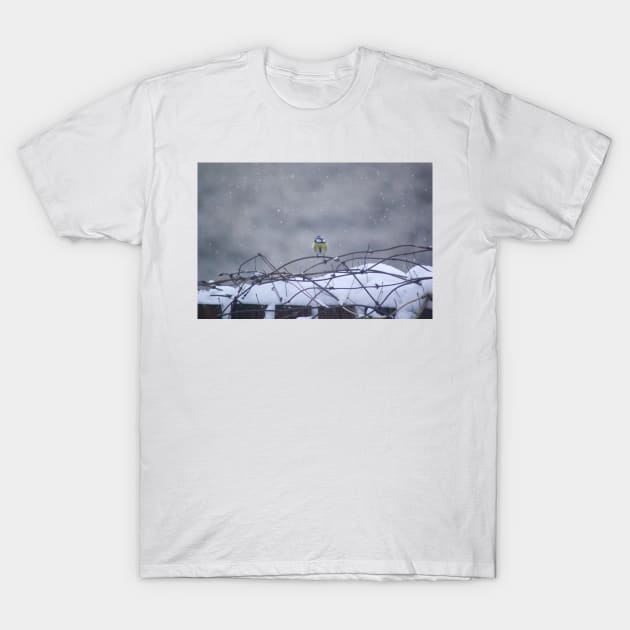 Blue tit in the snow T-Shirt by arlyon